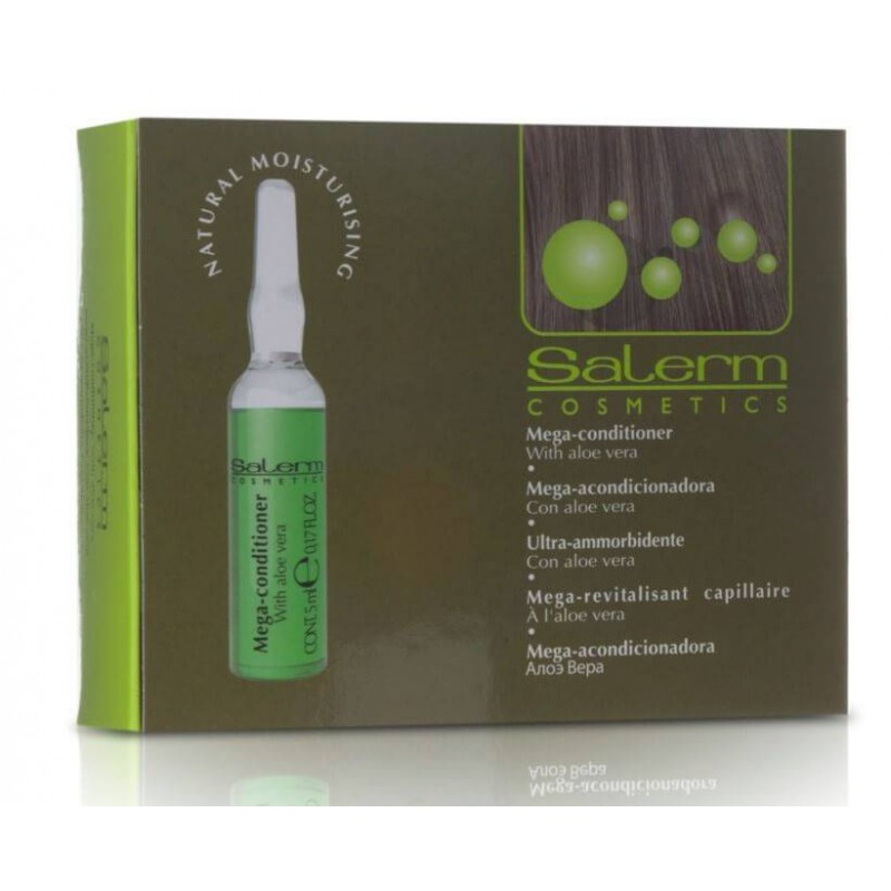 Hydrating, restructuring treatment for dry or damaged hair Salerm - 1