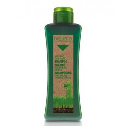 Oily hair shampoo 300 ml Salerm - 1